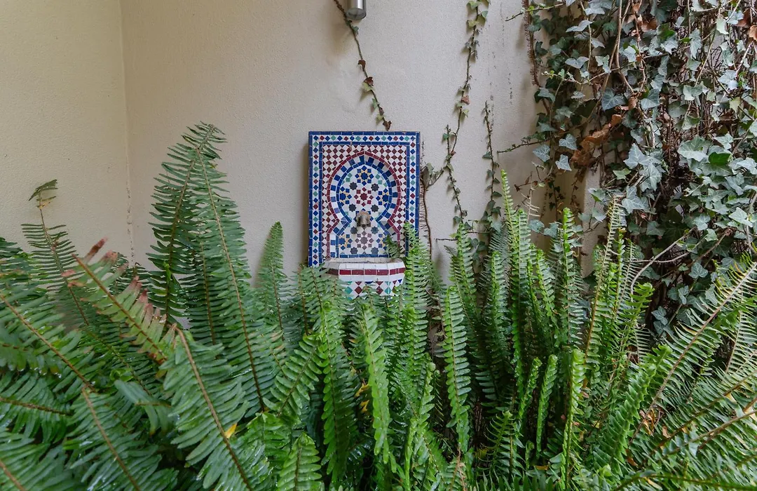 Lisbon Garden Retreat-1